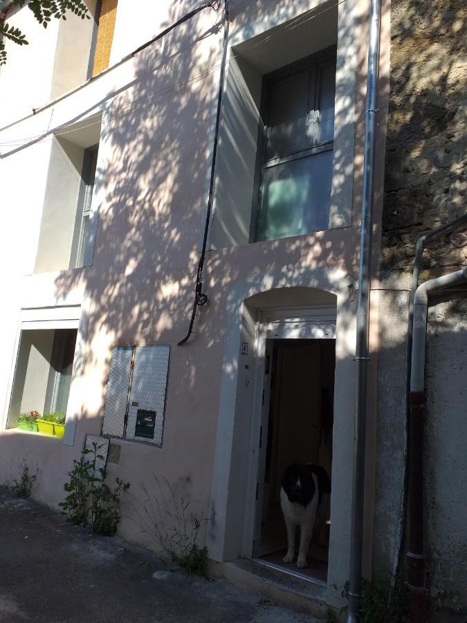 Apartmán La Maison D Annick Lodève Exteriér fotografie